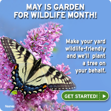 May is Garden for Wildlife Month